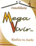 Megavivir logo
